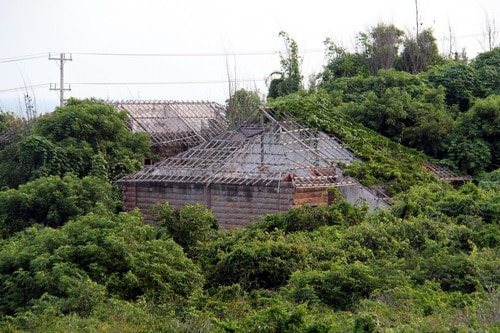 Những tiểu resort bỏ hoang giữa cây cỏ dại ven biển Kê Gà. Ảnh: Phước Tuấn
