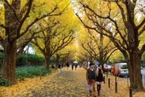 Hàng loạt vé máy bay giá rẻ tung ra dịp đầu thu