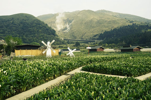 Mê mẫn với cảnh đẹp thiên nhiên Đài Bắc