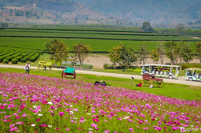 Singha park thanh bình xinh đẹp