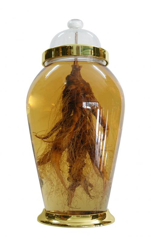 Những điều cần biết khi chọn mua bình thuỷ tinh ngâm rượu